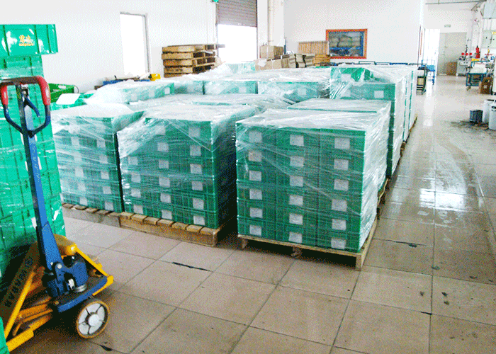 君凌工廠(chǎng)內(nèi)景 君凌工廠(chǎng)內(nèi)景